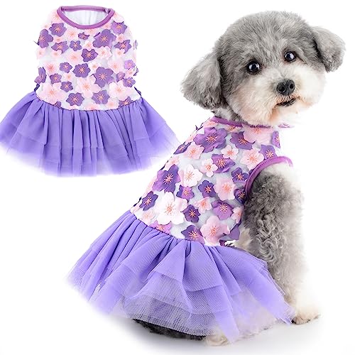 Zunea Blume Spitze Hundekleider für kleine Hunde Mädchen Sommer Prinzessin Kleid Niedlich Floral Welpen Weste Tutu Rock Geburtstag Party Hochzeitskleid Weich Atmungsaktiv Haustier Hund Katze Chihuahua von Zunea