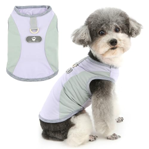Zunea Coole Hundeweste für kleine Hunde, weiches, atmungsaktives Netzgewebe, Sommer-Welpenkleidung, Tanktop mit Ring für die Leine, Größe XS/S, Haustier-Basic-Hemd, ärmellos, Chihuahua, Doggie Yorkie Zunea Coole Hundeweste für kleine Hunde, weiches, atmungsaktives Netzgewebe, Sommer-Welpenkleidung, Tanktop mit Ring für die Leine, Größe XS/S, Haustier-Basic-Hemd, ärmellos, Chihuahua, Doggie Yorkie von Zunea