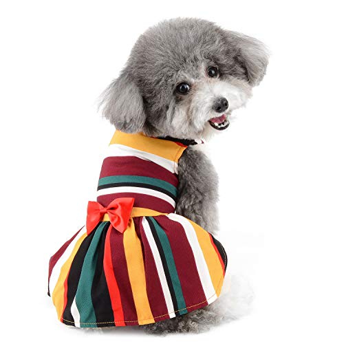 Zunea Elegantes Hundekleid für kleine Hunde Mädchen Sommer Puppy Prinzessin Rock mit Fliege Gestreift Party Hochzeit Kleid Welpen Kleidung Haustier Pullover für Hunde Chihuahua Spielzeug Pudel S von Zunea