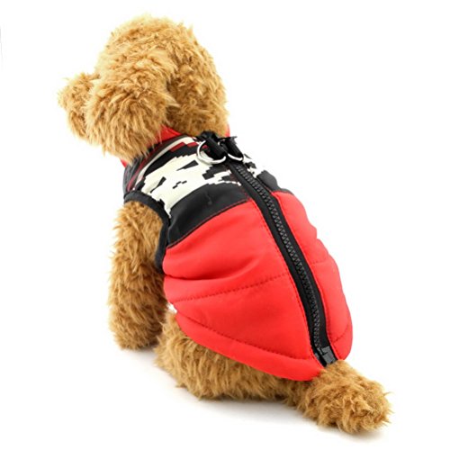 ZUNEA Gepolsterte Warme Kleine Hund Katze Weste Mantel Jacke Welpe Weste Harness Pet Winter Kleidung Doggie Jumper Chihuahua Overalls Bekleidung Red Skull XS von Zunea