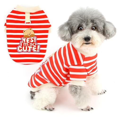 Zunea Gestreiftes Hunde-Sweatshirt für kleine Hunde, niedlicher Pullover, Welpenkleidung mit Ring für die Leine, weiche, warme Jacke, Mantel, Herbst, Winter, Haustier, Chihuahua, Bekleidung für kaltes Zunea Gestreiftes Hunde-Sweatshirt für kleine Hunde, niedlicher Pullover, Welpenkleidung mit Ring für die Leine, weiche, warme Jacke, Mantel, Herbst, Winter, Haustier, Chihuahua, Bekleidung für kaltes von Zunea