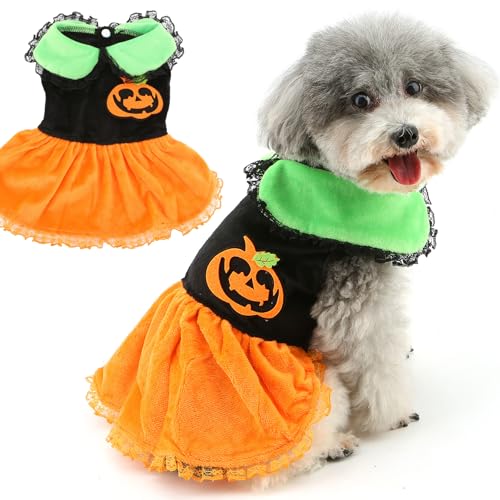 Zunea Halloween-Kostüm für kleine Hunde, Welpen, Kürbiskleid, weicher Samt, Urlaubskleid, lustiges Haustier-Kostüm, Chihuahua, Größe L Zunea Halloween-Kostüm für kleine Hunde, Welpen, Kürbiskleid, weicher Samt, Urlaubskleid, lustiges Haustier-Kostüm, Chihuahua, Größe L von Zunea