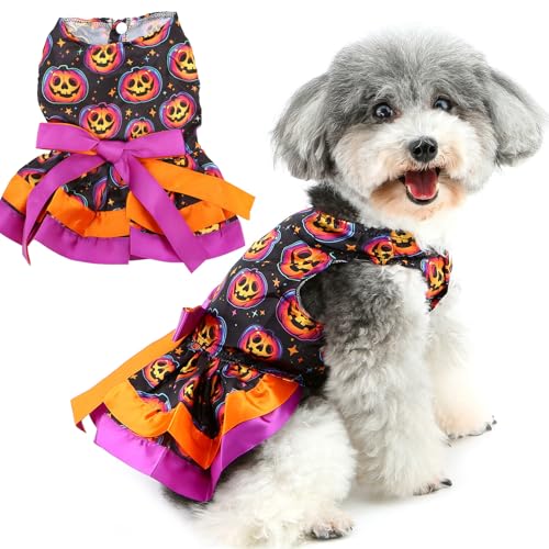 Zunea Halloween-Kostüm für kleine Hunde, lustig, gruselig, Kürbis-Welpenkleid, weiches Satin, Urlaubskleid mit Schleife, Hunde-Katzen, Haustierbekleidung, Outfits für Chihuahua, Lila, Größe S Zunea Halloween-Kostüm für kleine Hunde, lustig, gruselig, Kürbis-Welpenkleid, weiches Satin, Urlaubskleid mit Schleife, Hunde-Katzen, Haustierbekleidung, Outfits für Chihuahua, Lila, Größe S von Zunea