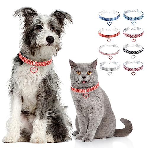 Zunea Halskette für Kleine Hunde Katzen Glitzernde Diamanten Welpen Halskette mit Herz-Anhänger Kristall Strass Hochzeit Geburtstag Party Haustierschmuck Verstellbare Chihuahua-Halskette Rot S Zunea Halskette für Kleine Hunde Katzen Glitzernde Diamanten Welpen Halskette mit Herz-Anhänger Kristall Strass Hochzeit Geburtstag Party Haustierschmuck Verstellbare Chihuahua-Halskette Rot S von Zunea