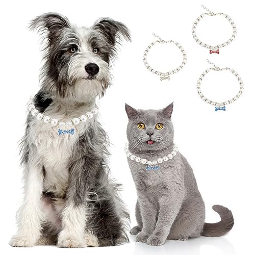 Zunea Halskette für kleine Hunde und Katzen, verstellbare Perlenketten mit Knochen-Charm-Anhänger, Bling, Kristall, Strass, Welpen, Mädchen, Hochzeit, Geburtstag, Party, Halskette, weibliches Zunea Halskette für kleine Hunde und Katzen, verstellbare Perlenketten mit Knochen-Charm-Anhänger, Bling, Kristall, Strass, Welpen, Mädchen, Hochzeit, Geburtstag, Party, Halskette, weibliches von Zunea