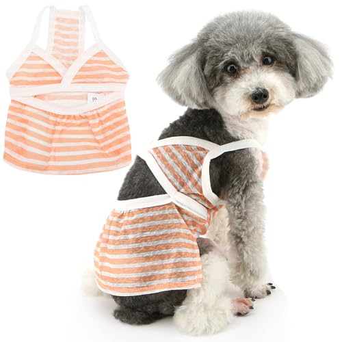 Zunea Hunde-Badeanzug, Bikinikleider für kleine Hunde, Mädchen, Sommer, Welpen, Strandkleid, Badekleidung, gestreiftes Hawaii-Kostüm, weich, leicht, kühlendes Haustier, Chihuahua, Yorkie, Orange, Zunea Hunde-Badeanzug, Bikinikleider für kleine Hunde, Mädchen, Sommer, Welpen, Strandkleid, Badekleidung, gestreiftes Hawaii-Kostüm, weich, leicht, kühlendes Haustier, Chihuahua, Yorkie, Orange, von Zunea