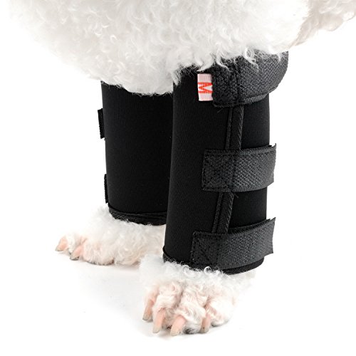 Zunea Hunde Bein Stütz Klammer 2Stück Hund Bandage Vorderbein Kompressions Verpackungs Schützen Wunden Verhindert Verletzungen Verstauchungen Helfen Stabilität verursacht durch Arthritis Schwarz S von Zunea
