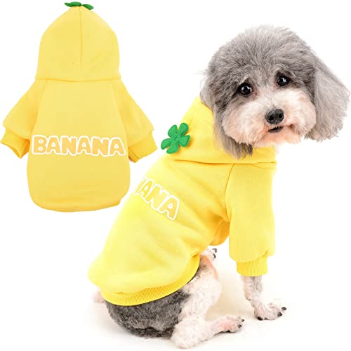 Zunea Hunde-Kapuzenpullover für kleine Hunde, Mädchen, Jungen, warmer Winter, Herbstmantel, weiche Welpenkleidung, kaltes Wetter, Sweatshirt, bunte Haustierbekleidung für Chihuahua, Yorkie, Katzen, Zunea Hunde-Kapuzenpullover für kleine Hunde, Mädchen, Jungen, warmer Winter, Herbstmantel, weiche Welpenkleidung, kaltes Wetter, Sweatshirt, bunte Haustierbekleidung für Chihuahua, Yorkie, Katzen, von Zunea