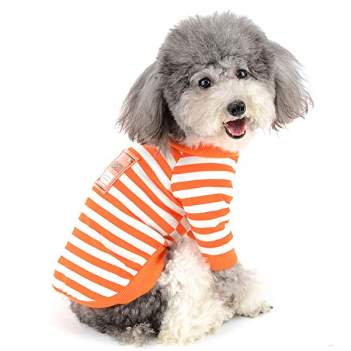 Zunea Hunde-Shirt für Kleine Hunde Sommer Welpen Kleidung Weicher Baumwolle Gestreift Sonnenschutz Kurzärmelig Haustier T-Shirt für Hunde Damen Jungen Orange XL von Zunea