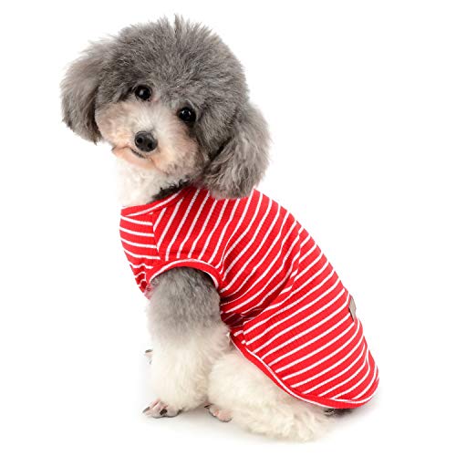 Zunea Hundeshirt für kleine Hunde, Katzen, Haustiere, gestreiftes T-Shirt für den Sommer, coole Weste, Welpen, Basic, Tank-Top, weiche Baumwolle, Chihuahua, Kleidung für Hunde, Rot, Größe XXL Zunea Hundeshirt für kleine Hunde, Katzen, Haustiere, gestreiftes T-Shirt für den Sommer, coole Weste, Welpen, Basic, Tank-Top, weiche Baumwolle, Chihuahua, Kleidung für Hunde, Rot, Größe XXL von Zunea