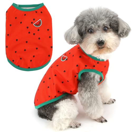 Zunea Hunde-Shirts für kleine Hunde, Sommerweste, T-Shirt, niedlicher Wassermelonen-Druck, ärmelloses Tanktop, weich, atmungsaktiv, Größe XS/S, Größe XS, Rot, Größe S Zunea Hunde-Shirts für kleine Hunde, Sommerweste, T-Shirt, niedlicher Wassermelonen-Druck, ärmelloses Tanktop, weich, atmungsaktiv, Größe XS/S, Größe XS, Rot, Größe S von Zunea