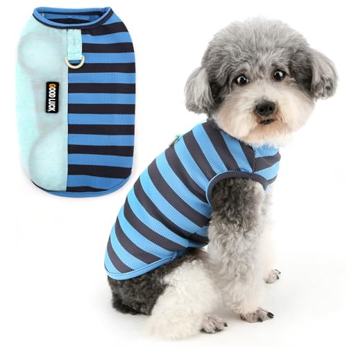 Zunea Hunde-Shirts für kleine Hunde, gestreift, Sommer-Welpenkleidung, Weste, Tanktop mit Leinen-Ring, weich, ärmellos, Basic-T-Shirt, leicht, atmungsaktiv, Chihuahua-Bekleidung, Blau, Größe XXL von Zunea