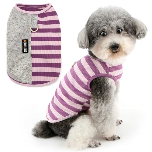 Zunea Hunde-Shirts für kleine Hunde, gestreift, Sommer-Welpenkleidung, Weste, Tanktop mit Leinen-Ring, weich, ärmellos, Basic-T-Shirt, leicht, atmungsaktiv, Chihuahua-Bekleidung, Lila, Größe S Zunea Hunde-Shirts für kleine Hunde, gestreift, Sommer-Welpenkleidung, Weste, Tanktop mit Leinen-Ring, weich, ärmellos, Basic-T-Shirt, leicht, atmungsaktiv, Chihuahua-Bekleidung, Lila, Größe S von Zunea