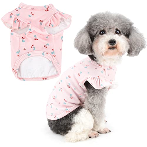 Zunea Hunde Shirt für Kleine Hunde Sommer T-Shirts Weiche Baumwolle Atmungsaktive Welpenweste Kleidung Niedlich Kirsche Gedruckt Kleidung Rüschen Kurzarm Shirt für Haustier Chihuahua Yorkie Rosa M Zunea Hunde Shirt für Kleine Hunde Sommer T-Shirts Weiche Baumwolle Atmungsaktive Welpenweste Kleidung Niedlich Kirsche Gedruckt Kleidung Rüschen Kurzarm Shirt für Haustier Chihuahua Yorkie Rosa M von Zunea
