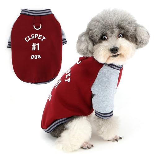 Zunea Hunde-Sweatshirt für kleine Hunde, sportlicher Stil, Welpen-Kleidung mit Ring für die Leine, weich, warm, Rollkragen, kurze Ärmel, Winter, Haustier, Chihuahua, Bekleidung für kaltes Wetter Zunea Hunde-Sweatshirt für kleine Hunde, sportlicher Stil, Welpen-Kleidung mit Ring für die Leine, weich, warm, Rollkragen, kurze Ärmel, Winter, Haustier, Chihuahua, Bekleidung für kaltes Wetter von Zunea
