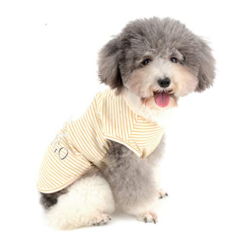 Zunea Hunde-T-Shirts für kleine Hunde, Mädchen und Jungen, gestreifte Weste, Sommer, Tanktop, Welpenkleidung, Haustier-Kleidung, Katzen, weiche Baumwolle, Chihuahua-Bekleidung, Gelb, Größe M von Zunea