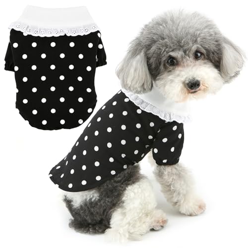 Zunea Hunde-T-Shirts für kleine Hunde, Mädchen, Sommer, Welpen, Hundekleidung, niedlich, gepunktet, kurzärmelig, Basic-T-Shirt, weibliche Haustierbekleidung, Kleidung für Hunde, Chihuahua, Schwarz, Zunea Hunde-T-Shirts für kleine Hunde, Mädchen, Sommer, Welpen, Hundekleidung, niedlich, gepunktet, kurzärmelig, Basic-T-Shirt, weibliche Haustierbekleidung, Kleidung für Hunde, Chihuahua, Schwarz, von Zunea