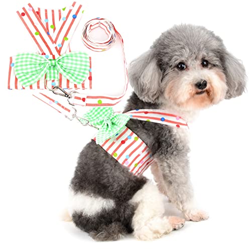 Zunea Hundegeschirr Weste und Leine Set für Kleine Hunde Kein Ziehen Gestreift Welpen Weste Kleidung mit Niedlichem Kariertem Schleifen Weibliche Haustierbekleidung für Chihuahua Yorkie Orange M von Zunea