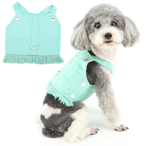 Zunea Hundegeschirr für kleine Hunde und Mädchen, kein Ziehen, Welpenkleidung mit D-Ring, niedliches Chihuahua-Spielzeug, Pudel, Weste, Geschirre, Kleider, Haustierbekleidung für Hunde, Yorkie, Grün, Zunea Hundegeschirr für kleine Hunde und Mädchen, kein Ziehen, Welpenkleidung mit D-Ring, niedliches Chihuahua-Spielzeug, Pudel, Weste, Geschirre, Kleider, Haustierbekleidung für Hunde, Yorkie, Grün, von Zunea