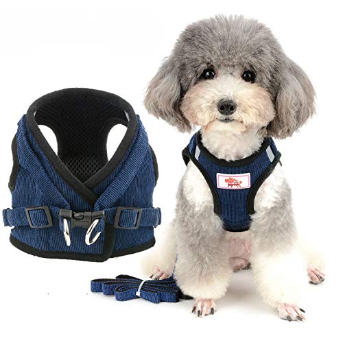 Zunea Hundegeschirr mit Leine Kleine Hunde Welpen Verstellbar Reflektierend No Pull Weiches Netzgewebe Cord-Weste Brustgeschirr für Jungen/Mädchen Haustiere, Puppia, Chihuahua, Katzen Blau XS Zunea Hundegeschirr mit Leine Kleine Hunde Welpen Verstellbar Reflektierend No Pull Weiches Netzgewebe Cord-Weste Brustgeschirr für Jungen/Mädchen Haustiere, Puppia, Chihuahua, Katzen Blau XS von Zunea