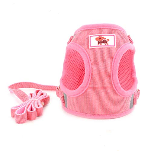 Zunea Hundegeschirr mit Leine Kleine Hunde Welpen Verstellbar Reflektierend No Pull Weiches Netzgewebe Cord-Weste Brustgeschirr für Jungen/Mädchen Haustiere, Puppia, Chihuahua, Katzen Rose XL Zunea Hundegeschirr mit Leine Kleine Hunde Welpen Verstellbar Reflektierend No Pull Weiches Netzgewebe Cord-Weste Brustgeschirr für Jungen/Mädchen Haustiere, Puppia, Chihuahua, Katzen Rose XL von Zunea