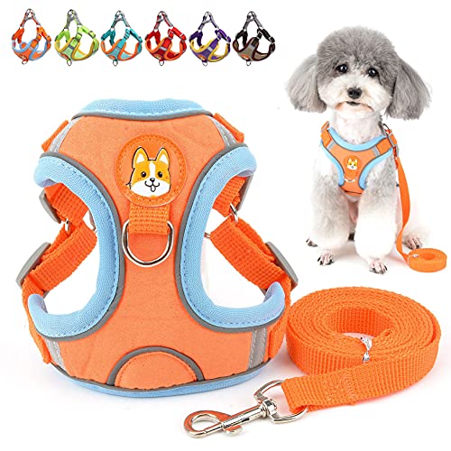 Zunea Hundegeschirr mit Leine für Kleine Hunde Verstellbar Reflektierend Welpen Brustgeschirr Weiches Wildleder Weste Geschirr Ausbruchsicher Katzengeschirr für Haustiere Chihuahua Yorkshire Orange L Zunea Hundegeschirr mit Leine für Kleine Hunde Verstellbar Reflektierend Welpen Brustgeschirr Weiches Wildleder Weste Geschirr Ausbruchsicher Katzengeschirr für Haustiere Chihuahua Yorkshire Orange L von Zunea