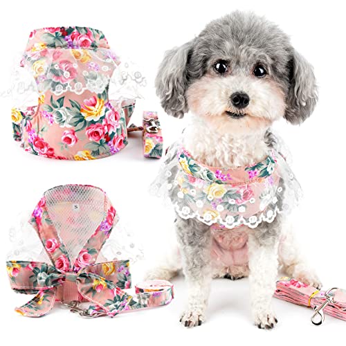 Zunea No Pull Hundegeschirr für Kleine Mittelgroße Hunde Polka Dot Welpen Weste Geschirr und Leine Weich Atmungsaktiv Mesh Geschirr mit Schleife Spitze Haustier Chihuahua Katzen Bekleidung Rosa M von Zunea