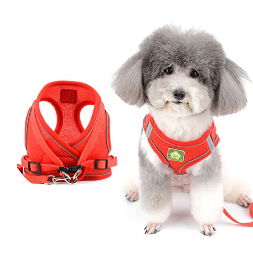 Zunea Hundegeschirr und Leine für kleine Hunde Welpen Verstellbar Reflektierend Brustgeschirr Weiches Netzgewebe Katzengeschirr Ausbruchsicher für Puppia Chihuahua Mädchen und Jungen Rot L Zunea Hundegeschirr und Leine für kleine Hunde Welpen Verstellbar Reflektierend Brustgeschirr Weiches Netzgewebe Katzengeschirr Ausbruchsicher für Puppia Chihuahua Mädchen und Jungen Rot L von Zunea