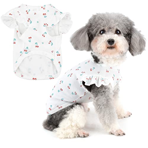 Zunea Hunde Shirt für Kleine Hunde Sommer T-Shirts Weiche Baumwolle Atmungsaktive Welpenweste Kleidung Niedlich Kirsche Gedruckt Kleidung Rüschen Kurzarm Shirt für Haustier Chihuahua Yorkie Weiß S Zunea Hunde Shirt für Kleine Hunde Sommer T-Shirts Weiche Baumwolle Atmungsaktive Welpenweste Kleidung Niedlich Kirsche Gedruckt Kleidung Rüschen Kurzarm Shirt für Haustier Chihuahua Yorkie Weiß S von Zunea