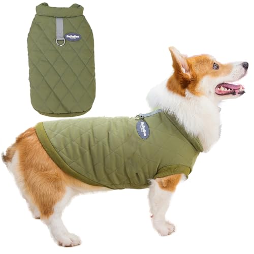 Zunea Hundejacken für kleine und mittelgroße Hunde, Corgi-Kleidung mit D-Ring, warm, mit Fleece gefüttert, Wintermäntel, kaltes Wetter, Weste, Jacke, Welpenkleidung, weich, für Jungen, Dackel, Grün, Zunea Hundejacken für kleine und mittelgroße Hunde, Corgi-Kleidung mit D-Ring, warm, mit Fleece gefüttert, Wintermäntel, kaltes Wetter, Weste, Jacke, Welpenkleidung, weich, für Jungen, Dackel, Grün, von Zunea