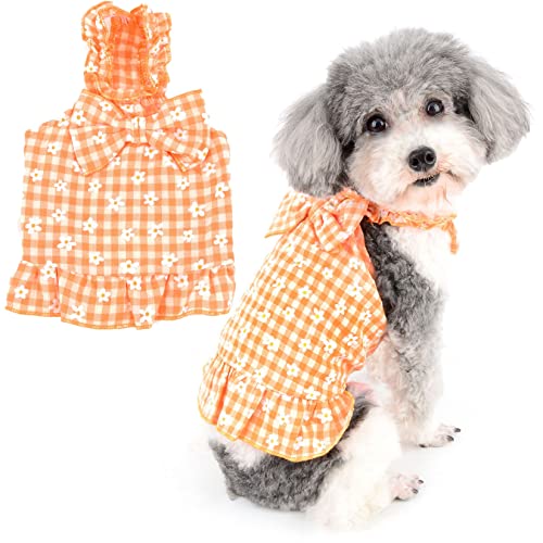 Zunea Hundekleider für kleine Hunde Mädchen Sommer Blumen Prinzessin Kleid mit Schleife Plaid Hund Sommerkleid Weiche Baumwolle Welpen Rock Atmungsaktiv Chihuahua Yorkie Kleidung Outfits Orange L Zunea Hundekleider für kleine Hunde Mädchen Sommer Blumen Prinzessin Kleid mit Schleife Plaid Hund Sommerkleid Weiche Baumwolle Welpen Rock Atmungsaktiv Chihuahua Yorkie Kleidung Outfits Orange L von Zunea