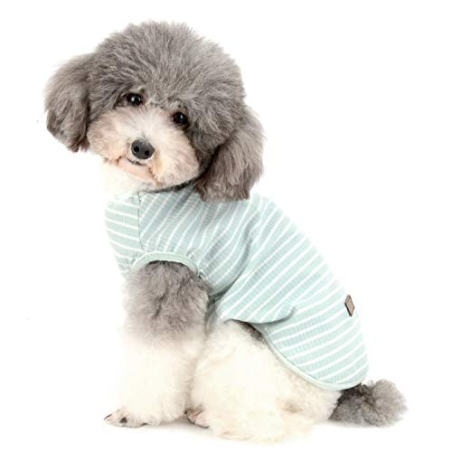 Zunea Hundeshirt für kleine Hunde, Katzen, Haustiere, gestreiftes T-Shirt für den Sommer, coole Weste, Welpen, Basic, Tank-Top, weiche Baumwolle, Chihuahua, Kleidung für Hunde, Grün, Größe L Zunea Hundeshirt für kleine Hunde, Katzen, Haustiere, gestreiftes T-Shirt für den Sommer, coole Weste, Welpen, Basic, Tank-Top, weiche Baumwolle, Chihuahua, Kleidung für Hunde, Grün, Größe L von Zunea