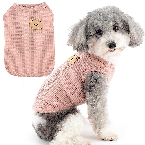 Zunea Hundeshirts für Kleine Hunde Sommerweste Haustier-T-Shirt Welpen Mädchen Jungen Kleidung Weich Atmungsaktiv Basic-T-Shirt Dehnbar ärmellos Tank-Top Chihuahua Katze Sweatshirt Kleidung Rosa S Zunea Hundeshirts für Kleine Hunde Sommerweste Haustier-T-Shirt Welpen Mädchen Jungen Kleidung Weich Atmungsaktiv Basic-T-Shirt Dehnbar ärmellos Tank-Top Chihuahua Katze Sweatshirt Kleidung Rosa S von Zunea
