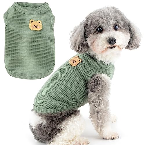 Zunea Hundeshirts für Kleine Hunde Sommerweste Haustier-T-Shirt Welpen Mädchen Jungen Kleidung Weich Atmungsaktiv Basic-T-Shirt Dehnbar ärmellos Tank-Top Chihuahua Katze Sweatshirt Kleidung Grün XL Zunea Hundeshirts für Kleine Hunde Sommerweste Haustier-T-Shirt Welpen Mädchen Jungen Kleidung Weich Atmungsaktiv Basic-T-Shirt Dehnbar ärmellos Tank-Top Chihuahua Katze Sweatshirt Kleidung Grün XL von Zunea