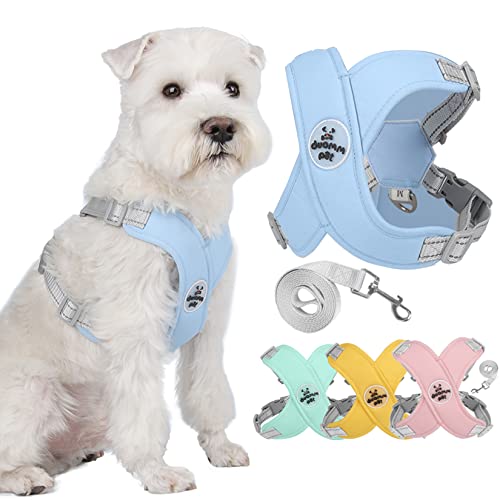 Zunea No Pull Hundegeschirr und Leine Set für Kleine Mittelgroße Hunde Verstellbar Reflektierend Welpenweste Geschirr Weich Atmungsaktiv Mesh Gepolsterte Leichte Weste für Chihuahua Bulldogge Blau M Zunea No Pull Hundegeschirr und Leine Set für Kleine Mittelgroße Hunde Verstellbar Reflektierend Welpenweste Geschirr Weich Atmungsaktiv Mesh Gepolsterte Leichte Weste für Chihuahua Bulldogge Blau M von Zunea