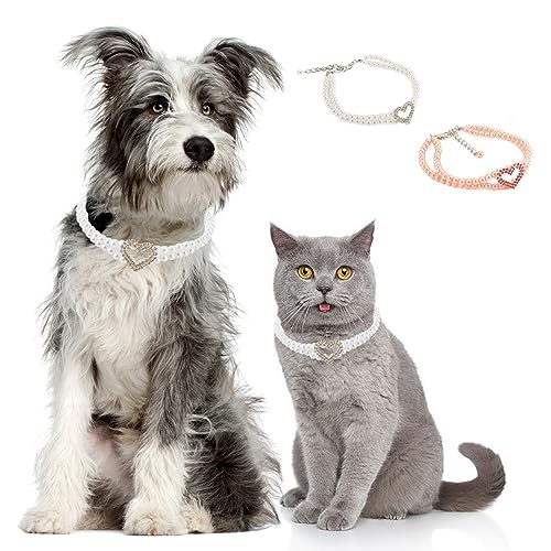 Zunea Perlenketten für kleine Hunde, 2 Reihen Perlen, glitzernde Diamant-Halskette, verstellbar, für Welpen, Mädchen, Hochzeit, Geburtstag, Party, Schmuck für Kätzchen, Chihuahua, weiß, Größe L Zunea Perlenketten für kleine Hunde, 2 Reihen Perlen, glitzernde Diamant-Halskette, verstellbar, für Welpen, Mädchen, Hochzeit, Geburtstag, Party, Schmuck für Kätzchen, Chihuahua, weiß, Größe L von Zunea