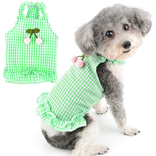 Zunea Plaid Hundekleider für kleine Hunde Sommer Camisole Welpen Prinzessin Kleid mit Niedlicher Kirsche Weiche Weste Sommerkleid Haustier Rüschen Rock Ärmellose Weste Urlaub Chihuahua Outfits Grün L Zunea Plaid Hundekleider für kleine Hunde Sommer Camisole Welpen Prinzessin Kleid mit Niedlicher Kirsche Weiche Weste Sommerkleid Haustier Rüschen Rock Ärmellose Weste Urlaub Chihuahua Outfits Grün L von Zunea