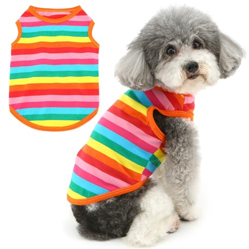 Zunea Regenbogen-gestreiftes Hunde-Shirt für kleine Hunde, Sommer-Welpenkleidung, T-Shirt, weich, atmungsaktiv, für Mädchen und Jungen, ärmellos, Basic-Tanktop, Chihuahua, Yorkie, Hundespielzeug, Zunea Regenbogen-gestreiftes Hunde-Shirt für kleine Hunde, Sommer-Welpenkleidung, T-Shirt, weich, atmungsaktiv, für Mädchen und Jungen, ärmellos, Basic-Tanktop, Chihuahua, Yorkie, Hundespielzeug, von Zunea