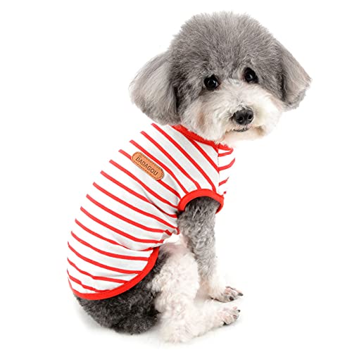 Zunea Sommer-Hunde-Shirts für Kleine Hunde Gestreifte Atmungsaktive Weste T-Shirts Weiche Baumwolle Welpen Kleidung Haustier Katzen Ärmelloses Tank Top Chihuahua Basic Tee Shirt Bekleidung Rot M Zunea Sommer-Hunde-Shirts für Kleine Hunde Gestreifte Atmungsaktive Weste T-Shirts Weiche Baumwolle Welpen Kleidung Haustier Katzen Ärmelloses Tank Top Chihuahua Basic Tee Shirt Bekleidung Rot M von Zunea