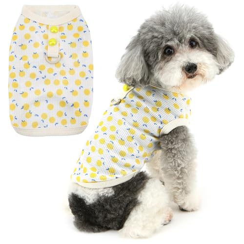 Zunea Sommer-Hunde-Shirts für kleine Hunde, Mädchen, Welpen-Kleidung, T-Shirt mit D-Ring, niedliches Obstmuster, weich, atmungsaktiv, Basic-Shirts, Hundespielzeug, Pudel, Haustierbekleidung für Zunea Sommer-Hunde-Shirts für kleine Hunde, Mädchen, Welpen-Kleidung, T-Shirt mit D-Ring, niedliches Obstmuster, weich, atmungsaktiv, Basic-Shirts, Hundespielzeug, Pudel, Haustierbekleidung für von Zunea