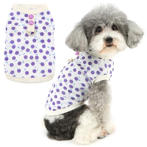 Zunea Sommer-Hunde-Shirts für kleine Hunde, Mädchen, Welpenkleidung, T-Shirt mit D-Ring, niedliches Obstmuster, weich, atmungsaktiv, Basic-Shirts, Hundespielzeug, Pudel, Haustierbekleidung für Zunea Sommer-Hunde-Shirts für kleine Hunde, Mädchen, Welpenkleidung, T-Shirt mit D-Ring, niedliches Obstmuster, weich, atmungsaktiv, Basic-Shirts, Hundespielzeug, Pudel, Haustierbekleidung für von Zunea