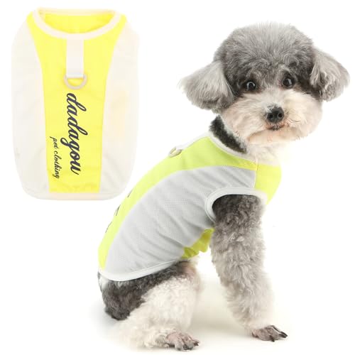 Zunea Sommer-Hundeweste für kleine Hunde mit Leinen-Ring, weich, atmungsaktiv, Welpenbekleidung, Größe XS/S, Sport-Stil, Chihuahua, ärmellos, Basic-T-Shirt, dehnbar, Haustierspielzeug, Pudel Zunea Sommer-Hundeweste für kleine Hunde mit Leinen-Ring, weich, atmungsaktiv, Welpenbekleidung, Größe XS/S, Sport-Stil, Chihuahua, ärmellos, Basic-T-Shirt, dehnbar, Haustierspielzeug, Pudel von Zunea
