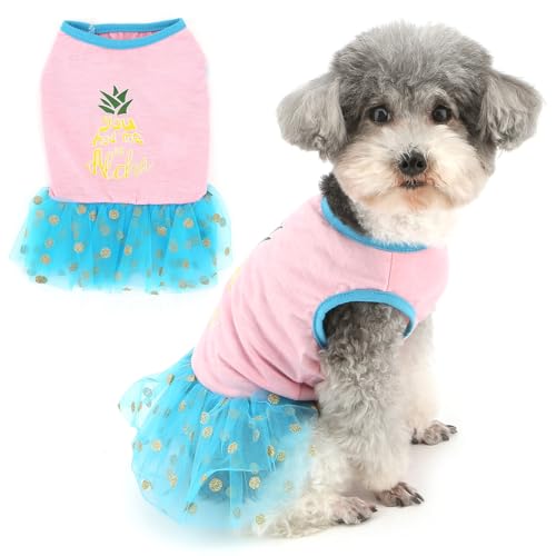 Zunea Süßes Obst-Hundekleid für extra kleine und kleine Hunde, gepunktet, Spitzenrock, Sommer, Welpen, Prinzessinnenkleid, weich, atmungsaktiv, Weste, Sommerkleid, Pullover, weibliche Haustierkleidung von Zunea