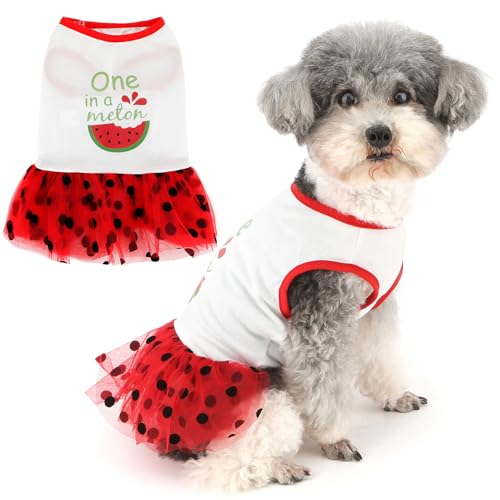 Zunea Süßes Obst-Hundekleid für extra kleine und kleine Hunde, gepunktet, Spitzenrock, Sommer, Welpen, Prinzessinnenkleid, weich, atmungsaktiv, Weste, Sommerkleid, Pullover, weibliche Haustierkleidung von Zunea
