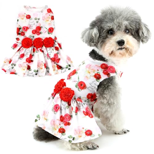 Zunea Valentine Hundekleid für extra kleine/kleine Hunde, Frühling, Sommer, Welpen, Prinzessinnenkleid, süßes Rosenmuster, Kleider, Valentinstagskostüm, Urlaubs-Outfits, Größe XS/S, Haustierkleidung Zunea Valentine Hundekleid für extra kleine/kleine Hunde, Frühling, Sommer, Welpen, Prinzessinnenkleid, süßes Rosenmuster, Kleider, Valentinstagskostüm, Urlaubs-Outfits, Größe XS/S, Haustierkleidung von Zunea