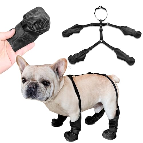 Zunea Wasserdichte Hosenträger für kleine und mittelgroße Hunde, rutschfest und fallend, verstellbare Haustierschuhe, Pfotenschutz, reflektierend, schmutzdicht, Stiefel, Leggings, für Spaziergänge im Zunea Wasserdichte Hosenträger für kleine und mittelgroße Hunde, rutschfest und fallend, verstellbare Haustierschuhe, Pfotenschutz, reflektierend, schmutzdicht, Stiefel, Leggings, für Spaziergänge im von Zunea