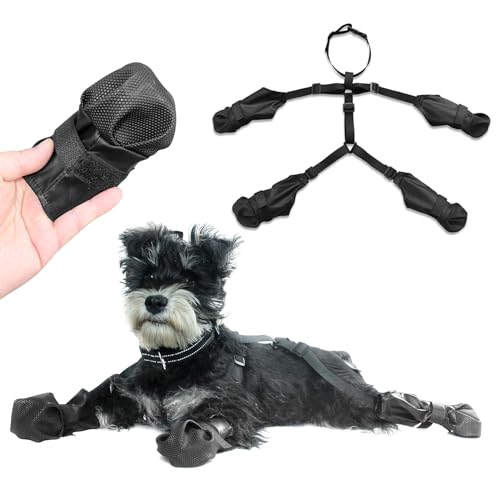 Zunea Wasserdichte Hosenträger für kleine und mittelgroße Hunde, rutschfest und fallend, verstellbare Welpenschuhe, Pfotenschutz, reflektierend, schmutzdicht, Stiefel, Leggings, für Spaziergänge im Zunea Wasserdichte Hosenträger für kleine und mittelgroße Hunde, rutschfest und fallend, verstellbare Welpenschuhe, Pfotenschutz, reflektierend, schmutzdicht, Stiefel, Leggings, für Spaziergänge im von Zunea