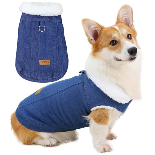 Zunea Weiche Denim-Winter-Hundejacke für kleine und mittelgroße Hunde, Corgi-Fleece-gefütterte Mäntel mit D-Ring, weiche, warme Weste für kaltes Wetter, Welpenkleidung, Dackel, Dunkelblau, Größe 3XL Zunea Weiche Denim-Winter-Hundejacke für kleine und mittelgroße Hunde, Corgi-Fleece-gefütterte Mäntel mit D-Ring, weiche, warme Weste für kaltes Wetter, Welpenkleidung, Dackel, Dunkelblau, Größe 3XL von Zunea