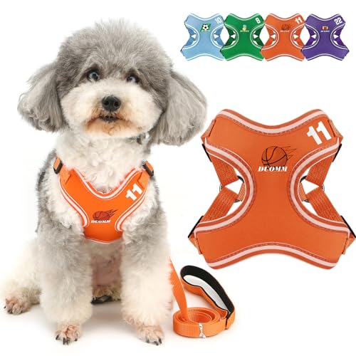 Zunea Welpen Hundegeschirr für Kleine Hunde Kein Ziehen Chihuahua Brustgeschirre und Leine Set Ausbruchsicherem Verstellbar Katzengeschirr Atmungsaktivem Netzgewebe Haustier Sport Weste Orange XS Zunea Welpen Hundegeschirr für Kleine Hunde Kein Ziehen Chihuahua Brustgeschirre und Leine Set Ausbruchsicherem Verstellbar Katzengeschirr Atmungsaktivem Netzgewebe Haustier Sport Weste Orange XS von Zunea