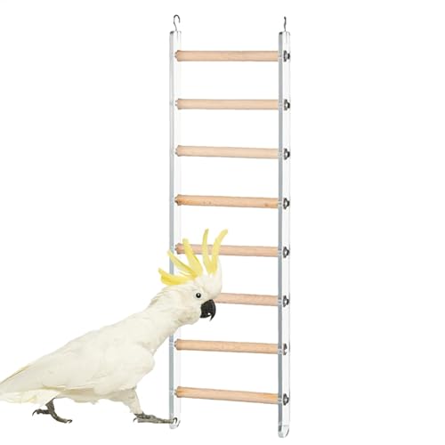 Zunetsutock Papageienleiter, Sichtweite Leiter | Käfigzubehör Klettern Sitzstangen | Flossenleitertrainingspielzeug mit 360 ° -rotierbarer Haken für Cockatiel Conure Selakeet Lovebirds Zunetsutock Papageienleiter, Sichtweite Leiter | Käfigzubehör Klettern Sitzstangen | Flossenleitertrainingspielzeug mit 360 ° -rotierbarer Haken für Cockatiel Conure Selakeet Lovebirds von Zunetsutock